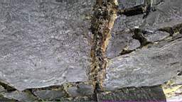 acastle
                          104985.jpg